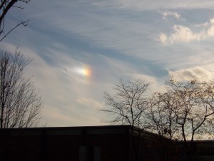 Sun Dog