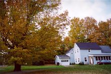 The old homestead