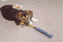 Thor, and his Mighty Hammer