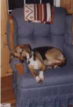 Thor sleeping