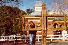 Jeff in the stocks