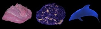 Subsurface Scattering