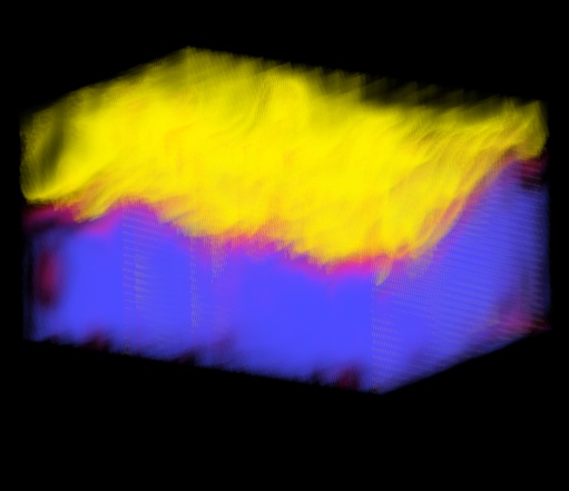 rendered placenta