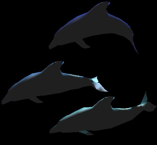 dolphin no scatter