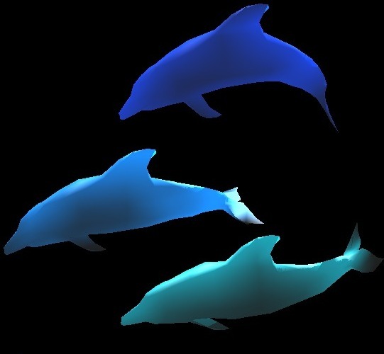 dolphin with scatter