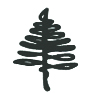 TAUNY