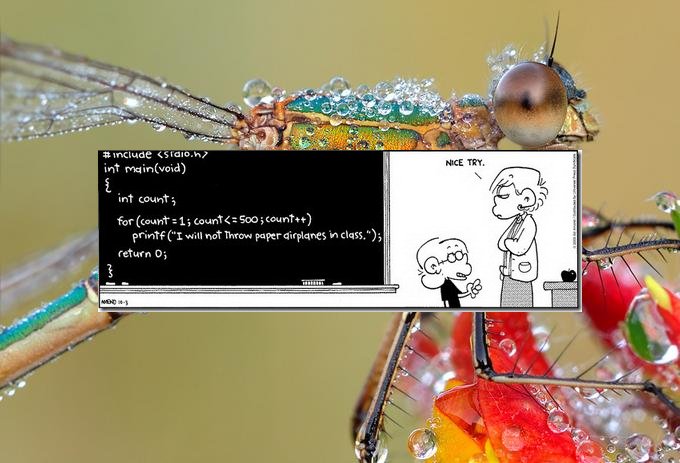 comic.jpg cenetered in bug.jpg