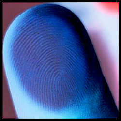 Michael E. Schuckers / BIOMETRICS - Statistical Analysis of Biometric Error Rates (SABER)