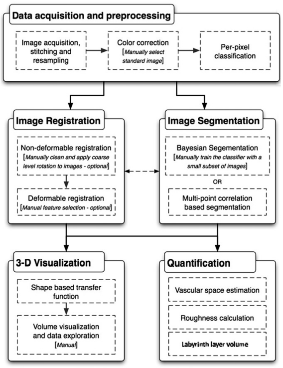 placenta workflow